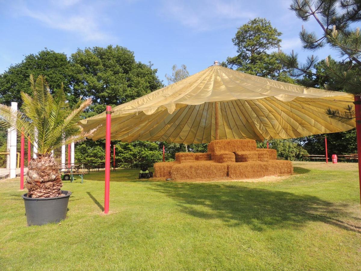 Ferienhaus Schomaker Rieste المظهر الخارجي الصورة